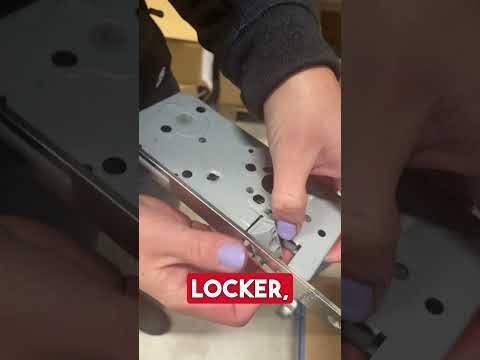 Dorma ERGO mortice lock ÖNORM 90 mm protection class 1, BB - Buntbart